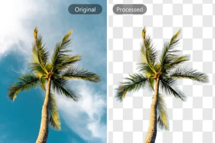 Hintergrund aus Bild entfernen