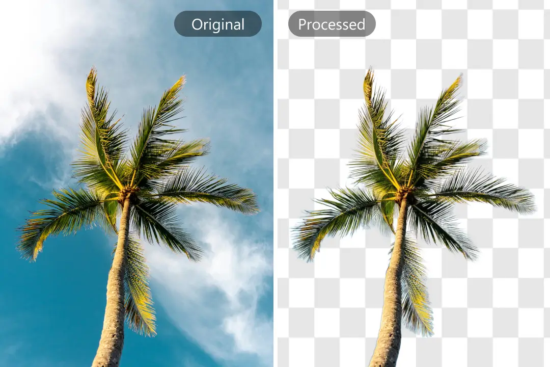 Hintergrund aus Bild entfernen